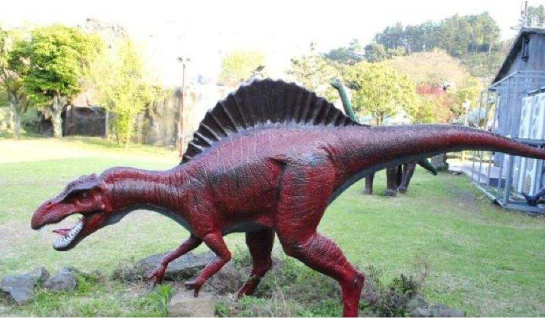 有一种植食性恐龙叫腕龙,它们的身长约为二十六米,体重可达到三十五吨