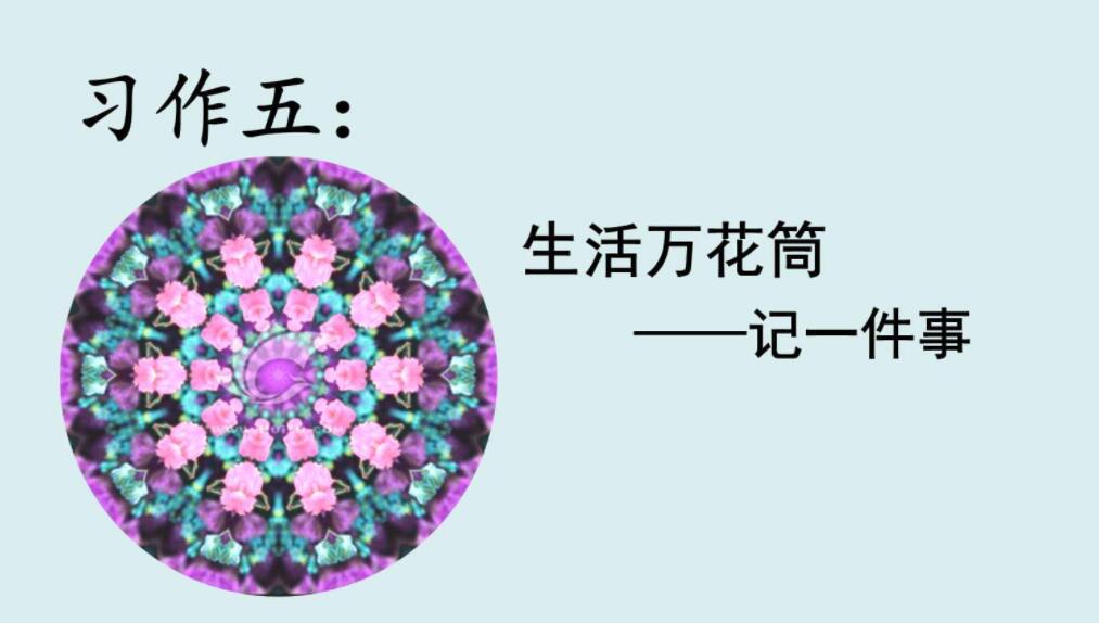 生活万花筒捉蚊趣事500字作文四年级