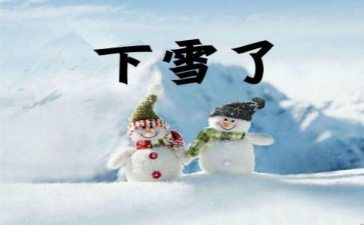 下雪了作文450字