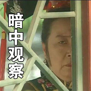 容嬷嬷扎针什么梗