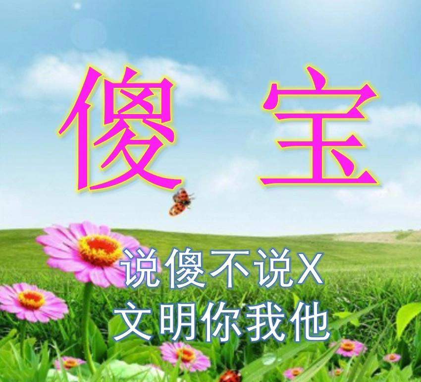 《百度贴吧》傻宝是什么梗