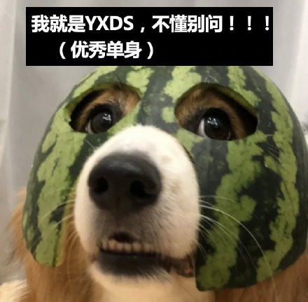 YXDS是什么梗