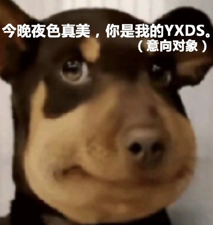 YXDS是什么梗