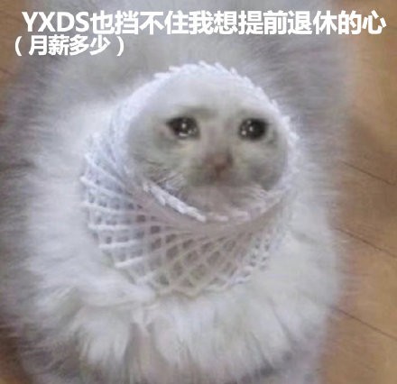 YXDS是什么梗