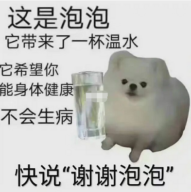 谢谢泡泡是什么梗