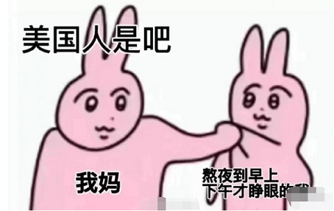 《微信》粉兔子表情包高清图一览