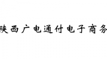 陕西广电通付电子商务