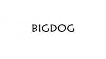 BIGDOG