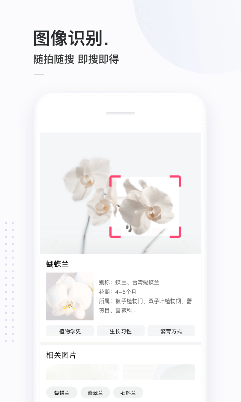 简单搜索app截图