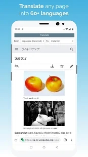 kiwi浏览器app截图