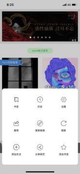 绿叶浏览器app截图