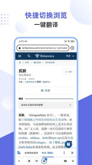 狐猴浏览器app截图