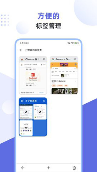 狐猴浏览器app截图