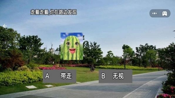 西瓜人派对app截图