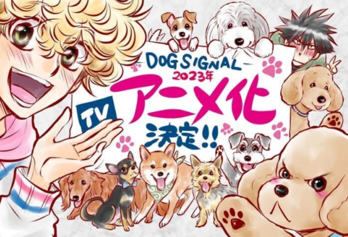 《DOG SIGNAL》确定TV动画化 播出时间暂未公布