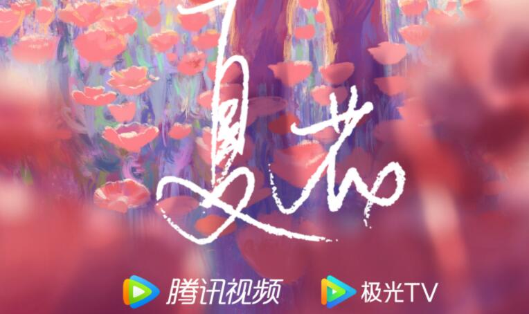 《夏花》剧情介绍