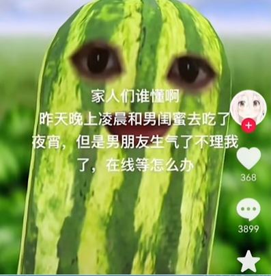 《抖音》西瓜条是什么梗