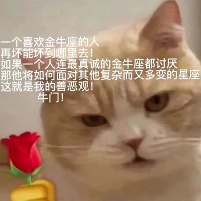 《抖音》善恶观是什么梗