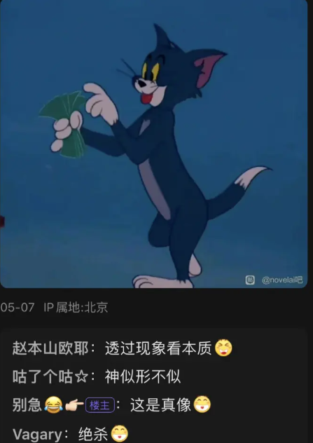 《抖音》猫鼠队是什么梗