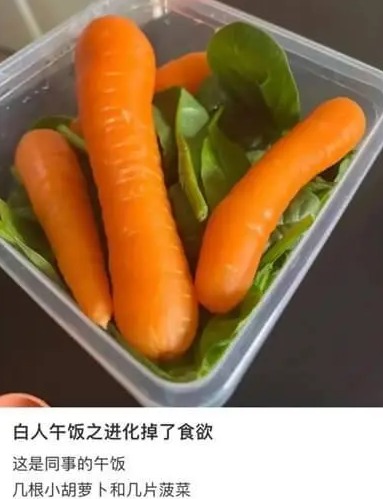 网络用语白人饭是什么梗