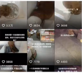 《抖音》欢欢卤味店是什么梗