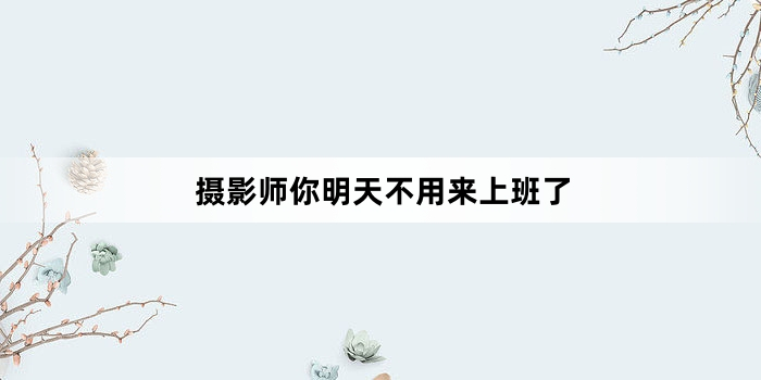 网络用语摄影师你明天不用来上班了是什么梗