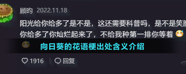 网络用语向日葵的花语是什么梗