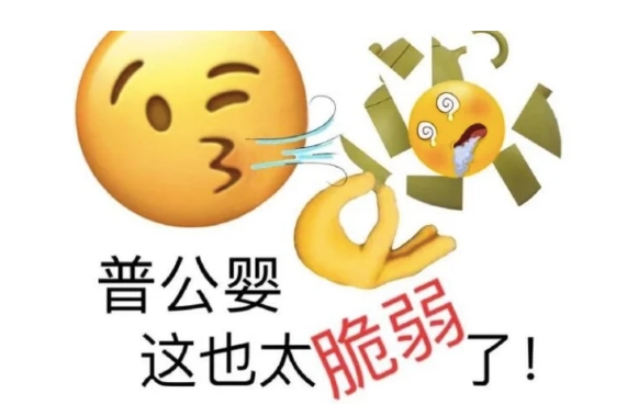 网络用语普公婴是什么梗