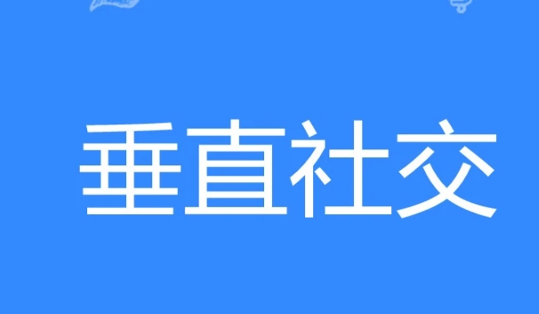 网络用语垂直社交是什么梗