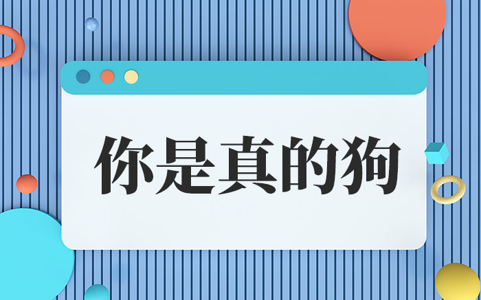 网络用语你是真的狗是什么梗