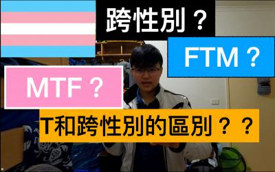 网络用语mtf是什么梗