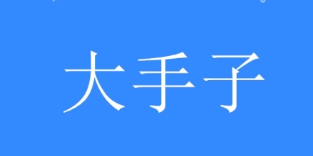 网络用语大手子是什么梗