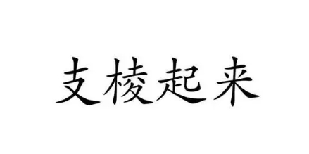 网络用语支棱起来是什么梗