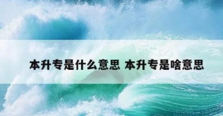 网络用语本升专是什么梗