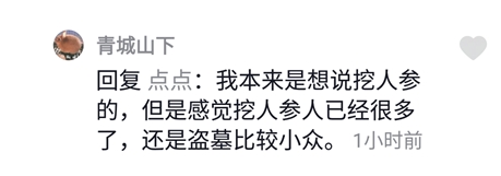 网络用语长白山盗墓是什么梗