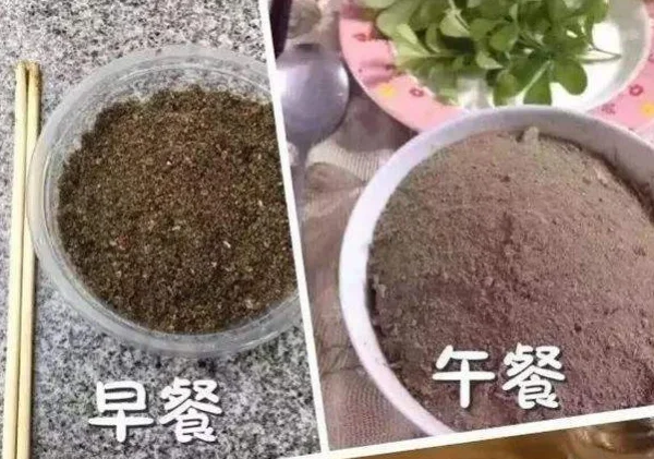 网络用语吃圭人是什么梗