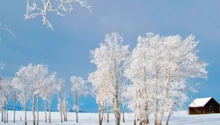 《在南方等一场雪》600字高分作文欣赏