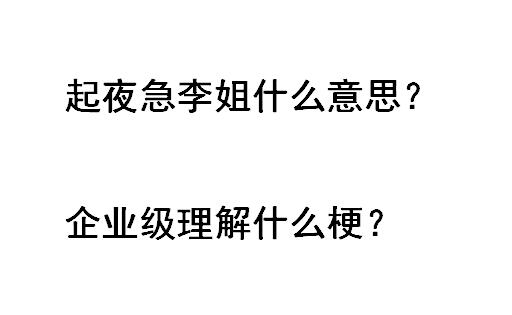 网络用语起夜急李姐是什么梗