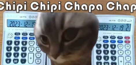 《抖音》chipi猫是什么梗