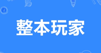 网络用语整本玩家是什么梗