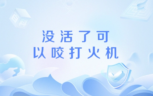 网络用语没活了可以咬打火机是什么梗