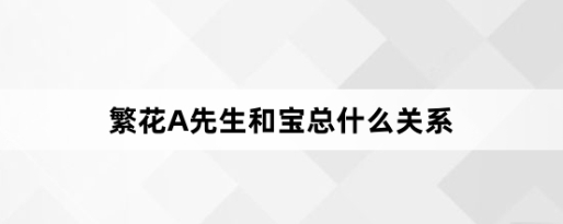 《繁花》A先生和宝总两人有什么关系