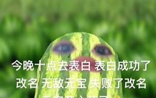 网络用语欢迎见证我的表白结果是什么梗