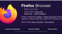 Firefox火狐浏览器109正式版发布