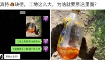 网络用语出门四不捡是什么梗