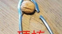 《网络热词》硬核梗的意思