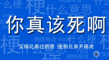 网络用语你真该死啊是什么梗