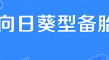 网络用语向日葵型备胎是什么梗