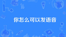 网络用语你怎么可以发语音是什么梗