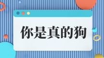 网络用语你是真的狗是什么梗